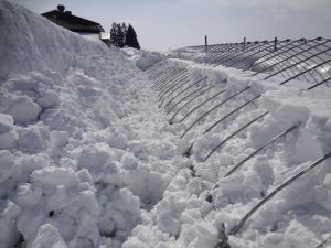 掘って掘って掘りまくれ! 掘って掘って掘りまくれ!