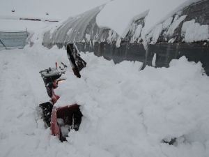 除雪機苦戦中! 除雪機苦戦中!