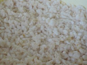 この冬2度目の味噌造り~麹もいい具合 この冬2度目の味噌造り~麹もいい具合