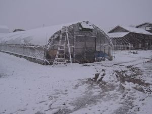 初雪積もった 初雪積もった