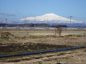 雪無いです 雪無いです